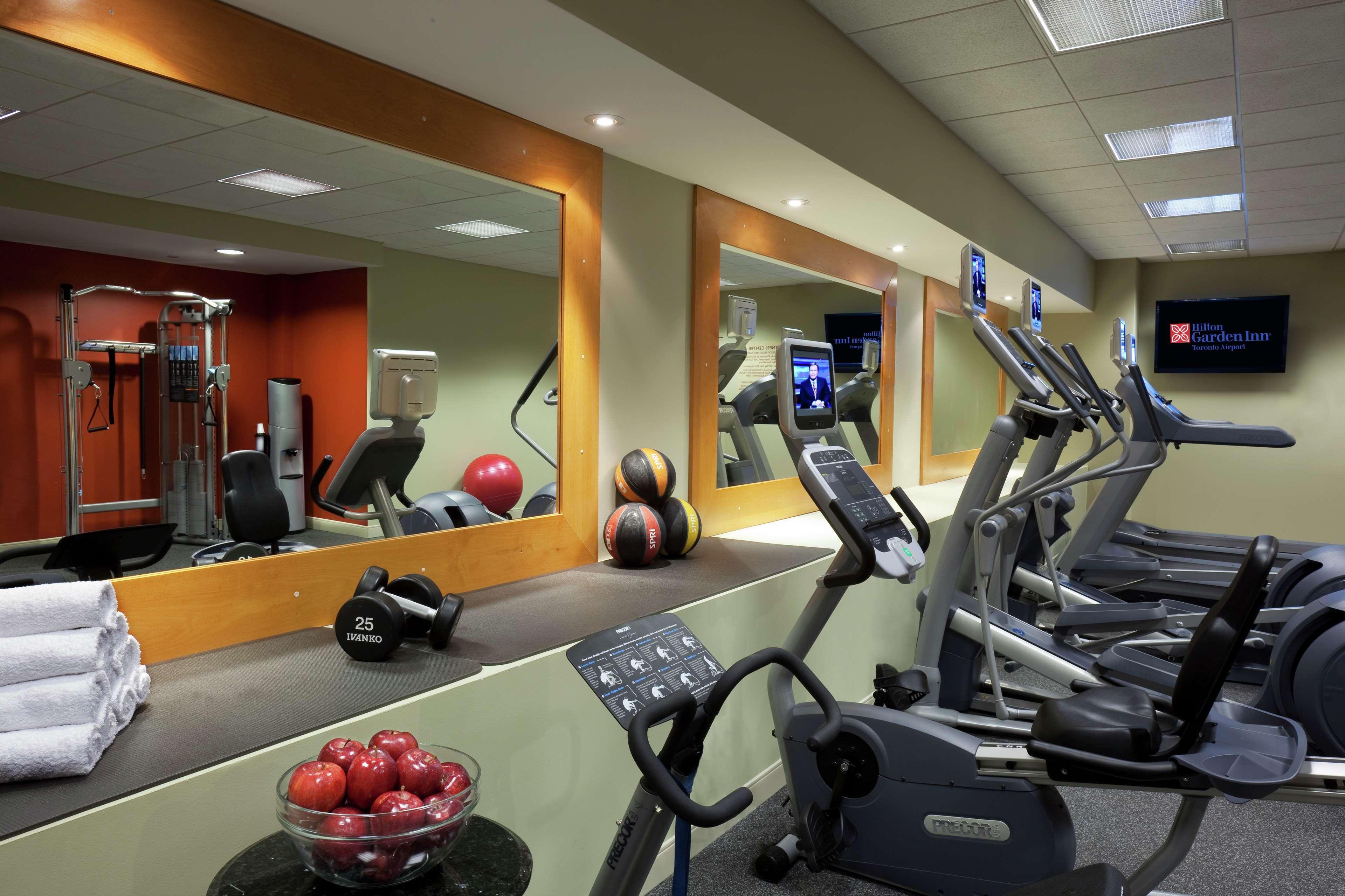 מיסיסאוגה Hilton Garden Inn Toronto Airport מתקנים תמונה
