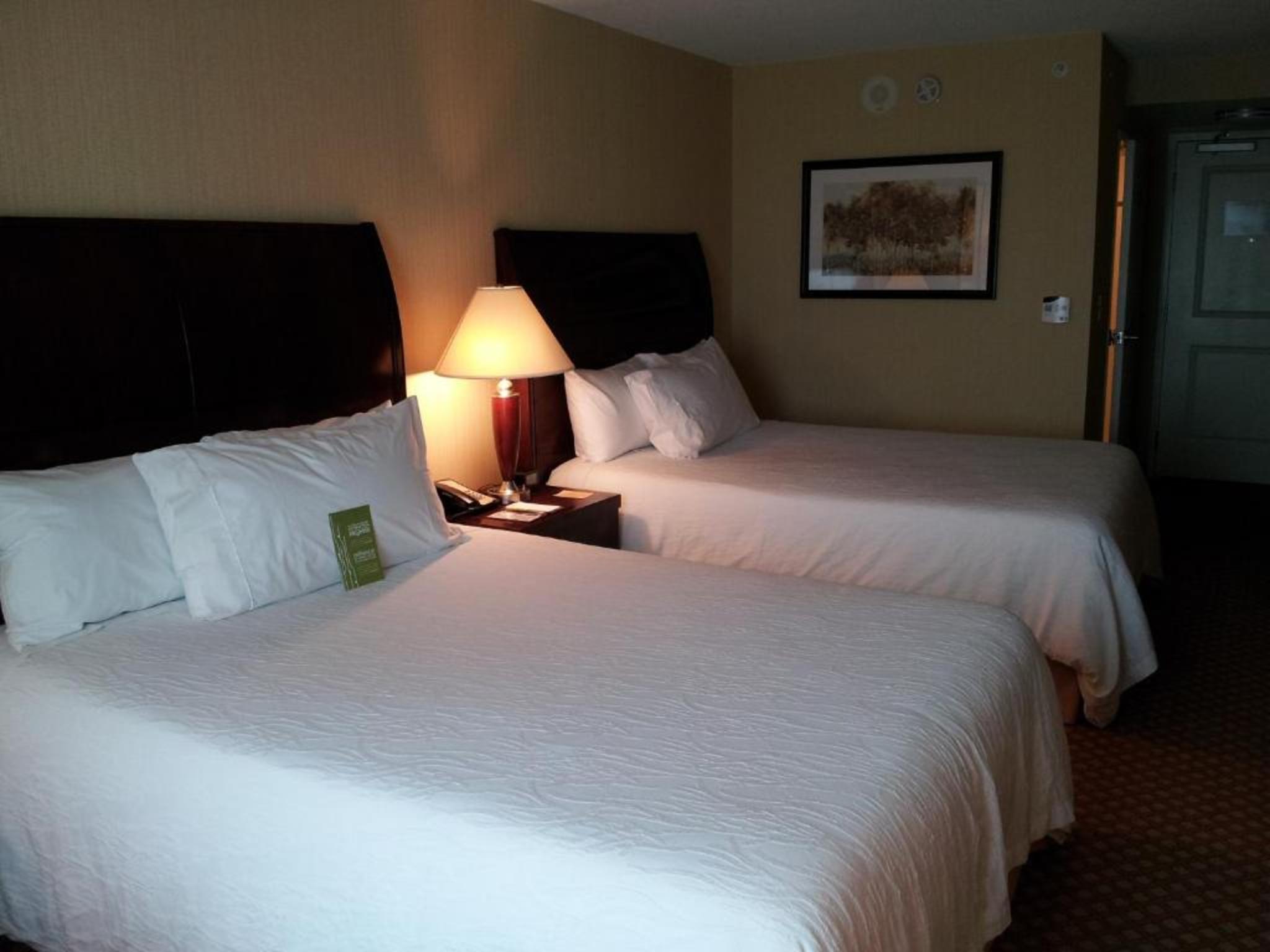 מיסיסאוגה Hilton Garden Inn Toronto Airport מראה חיצוני תמונה